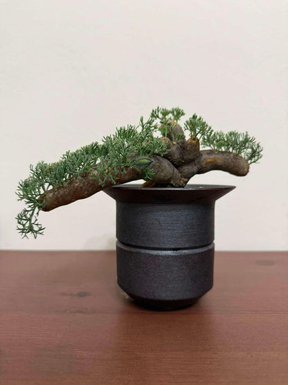 Handmade Minimalist Ceramic Planters — One of a Kind